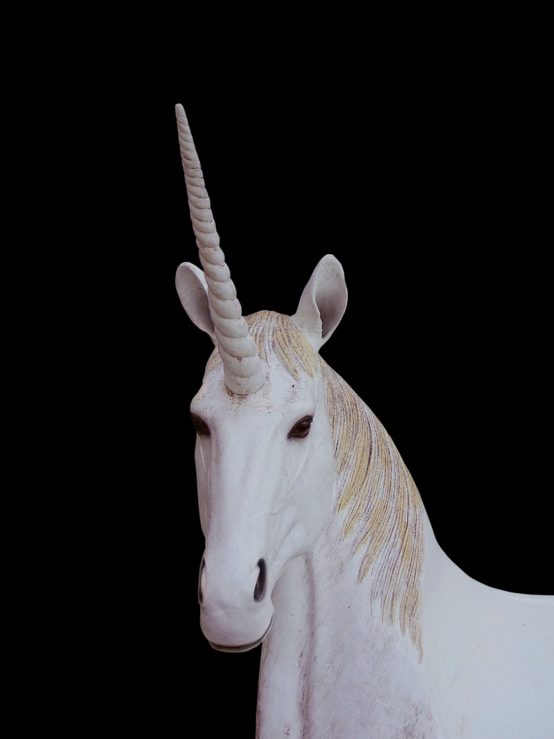 Unicorn Folklore
